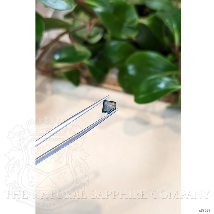 0.82 Ct. Bluish Green Sapphire from Montana