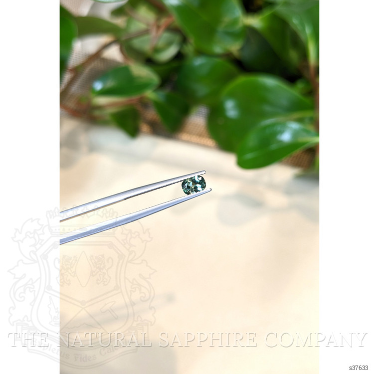 0.59 Ct. Green Sapphire from Montana