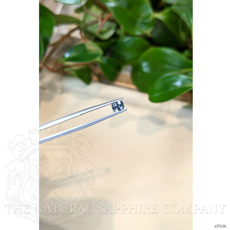 0.62 Ct. Greyish Blue Sapphire from Ceylon (Sri Lanka)