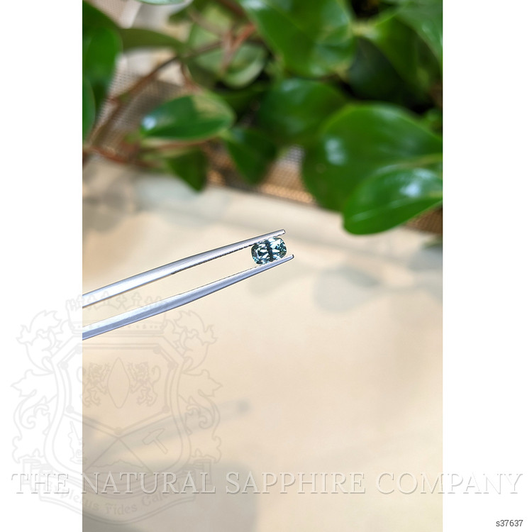 0.62 Ct. Bluish Green Sapphire from Montana