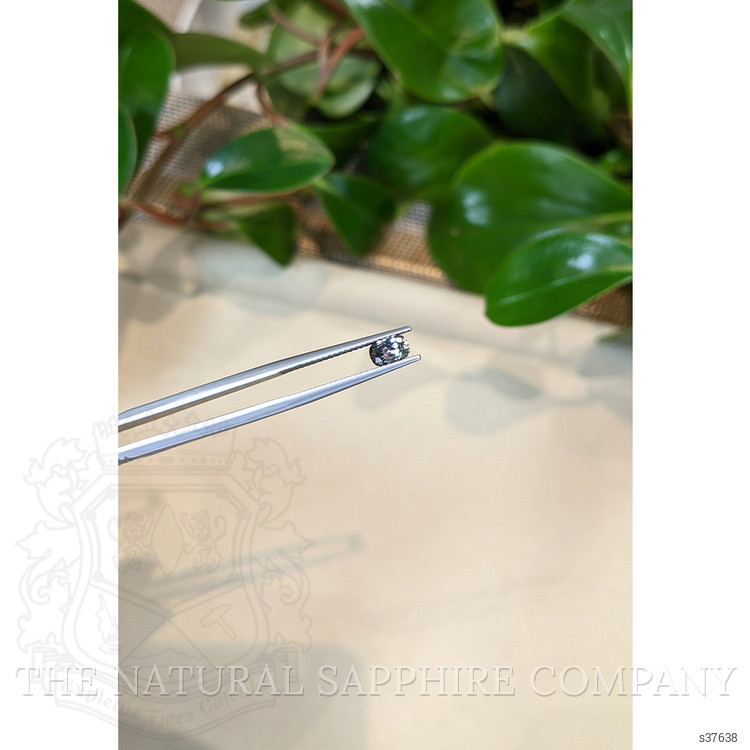 0.64 Ct. Brownish Green Sapphire from Montana