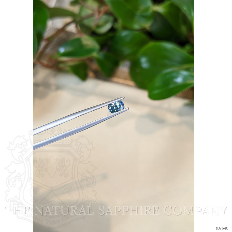 0.66 Ct. Greyish Blue Sapphire from Montana