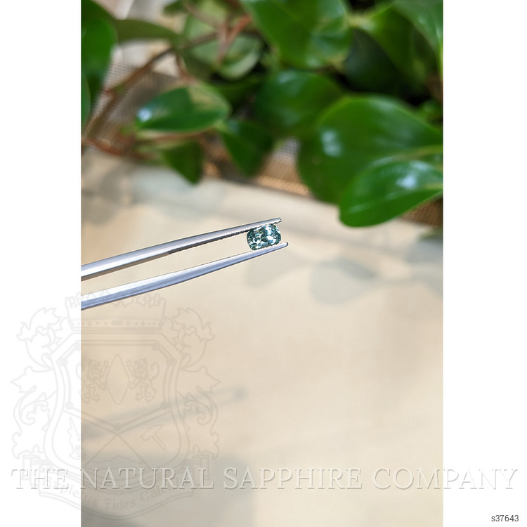0.69 Ct. Bluish Green Sapphire from Montana