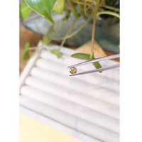 0.46 Ct. Yellow Sapphire from Montana Life Style