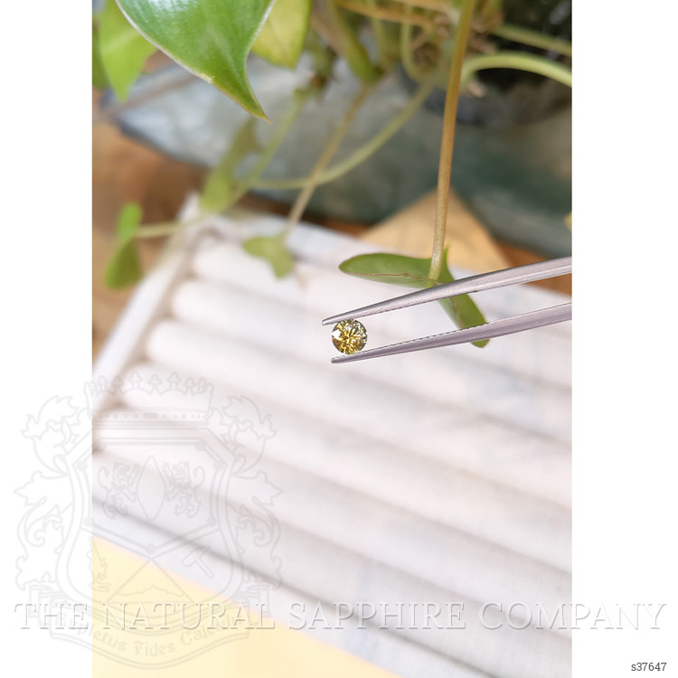 0.46 Ct. Yellow Sapphire from Montana