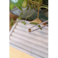 0.46 Ct. Orange Sapphire from Montana Life Style