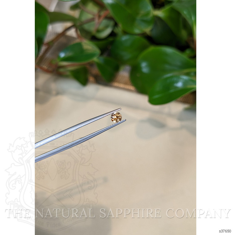 0.47 Ct. Yellowish Brown Sapphire from Montana
