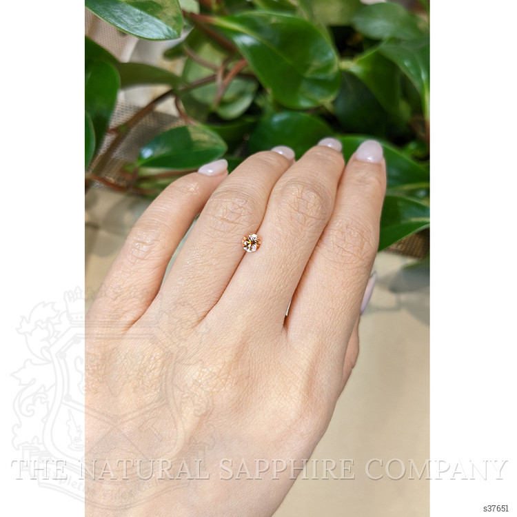 0.47 Ct. Bi Color Sapphire from Montana