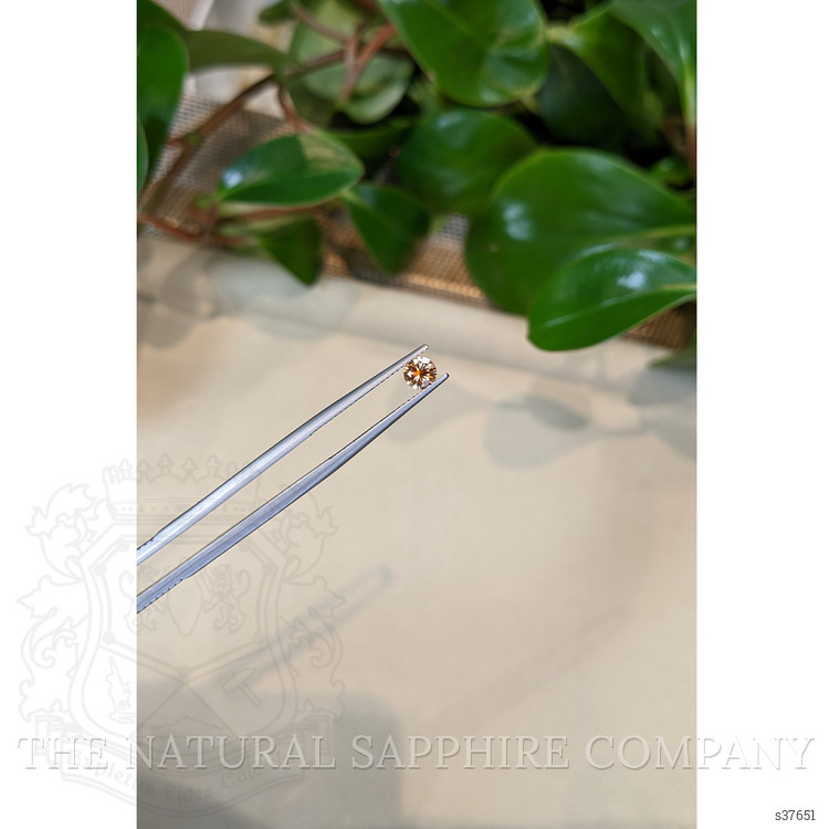 0.47 Ct. Bi Color Sapphire from Montana