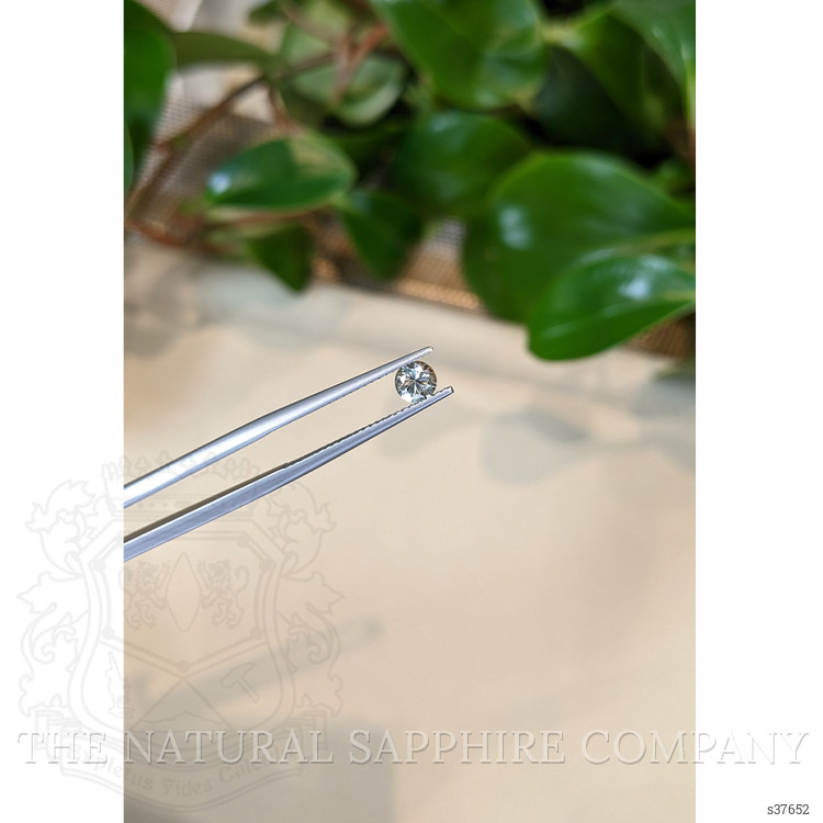 0.48 Ct. Green Sapphire from Montana