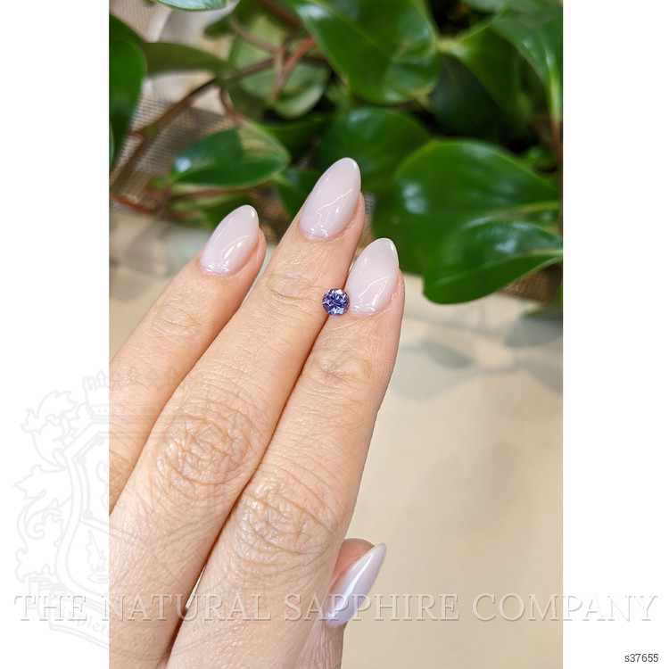 0.49 Ct. Bluish Purple Sapphire from Montana
