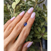 2.68 Ct. Blue Cabochon Sapphire from Ceylon (Sri Lanka) Life Style