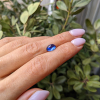 2.68 Ct. Blue Cabochon Sapphire from Ceylon (Sri Lanka) Life Style