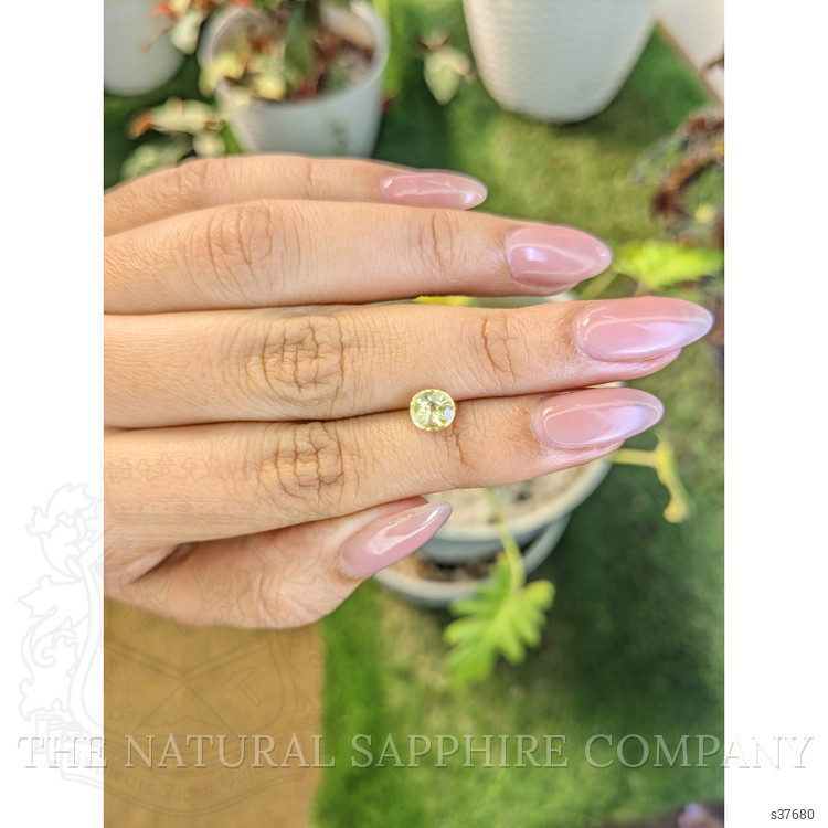 1.01 Ct. Yellow Sapphire from Ceylon (Sri Lanka)