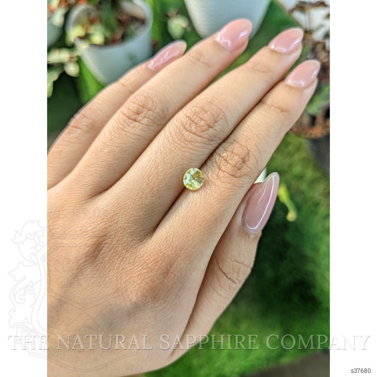 1.01 Ct. Yellow Sapphire from Ceylon (Sri Lanka)