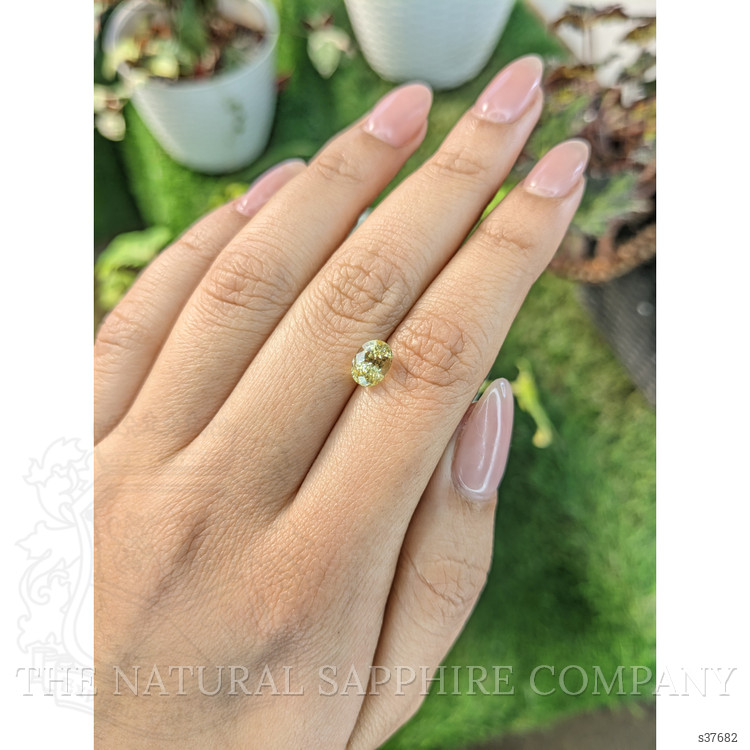1.86 Ct. Yellow Sapphire from Ceylon (Sri Lanka)