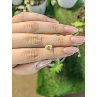 1.86 Ct. Yellow Sapphire from Ceylon (Sri Lanka) Life Style