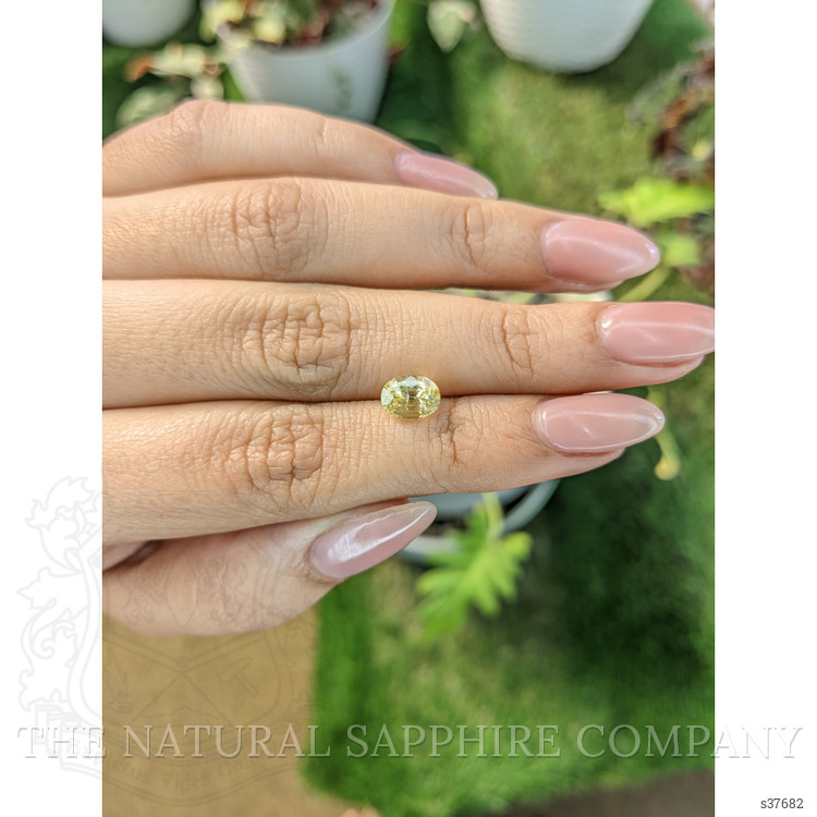 1.86 Ct. Yellow Sapphire from Ceylon (Sri Lanka)