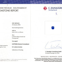 4.01 Ct. Blue Sapphire from Ceylon (Sri Lanka) Scan Report