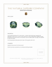 0.72 Ct. Bluish Green Sapphire from Ceylon (Sri Lanka) Appraisal