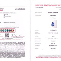 2.61 Ct. Blue Sapphire from Ceylon (Sri Lanka) Scan Report