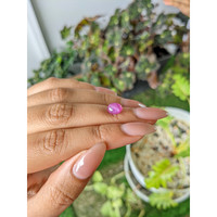 2.36 Ct. Pinkish Purple Star Sapphire from Ceylon (Sri Lanka) Life Style