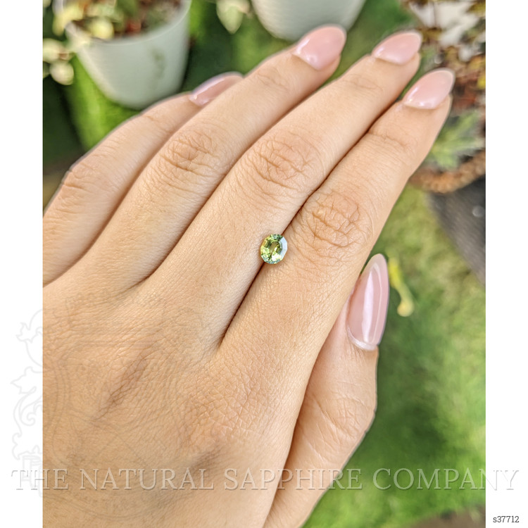 0.77 Ct. Greenish Yellow Sapphire from Madagascar