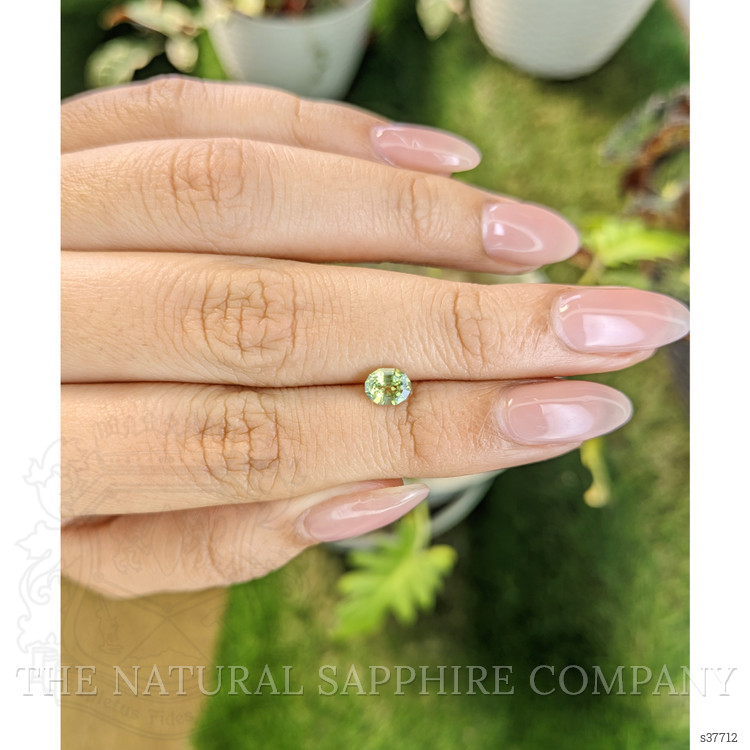 0.77 Ct. Greenish Yellow Sapphire from Madagascar