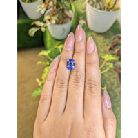 5.15 Ct. Violet Sapphire from Ceylon (Sri Lanka) Life Style