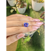 5.57 Ct. Violet Sapphire from Ceylon (Sri Lanka) Life Style