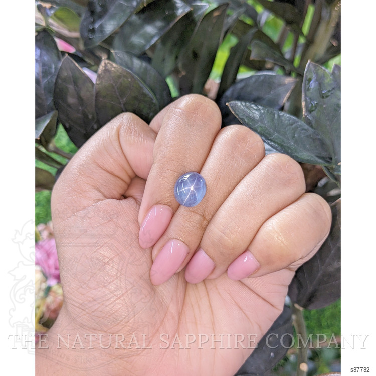 6.69 Ct. Blue Star Sapphire from Tanzania