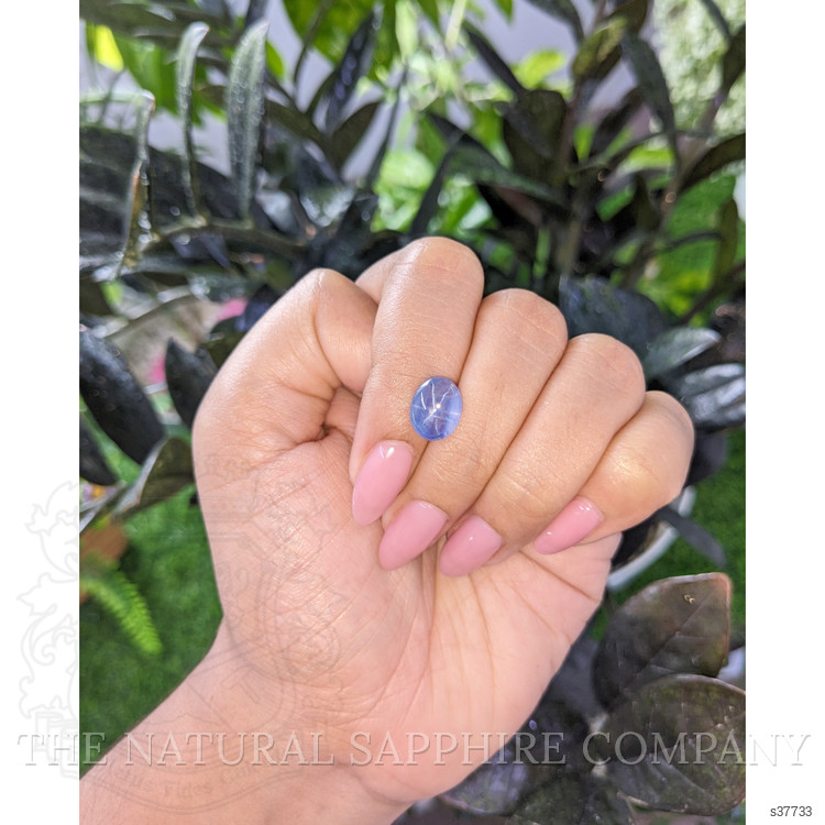 4.30 Ct. Blue Star Sapphire from Tanzania