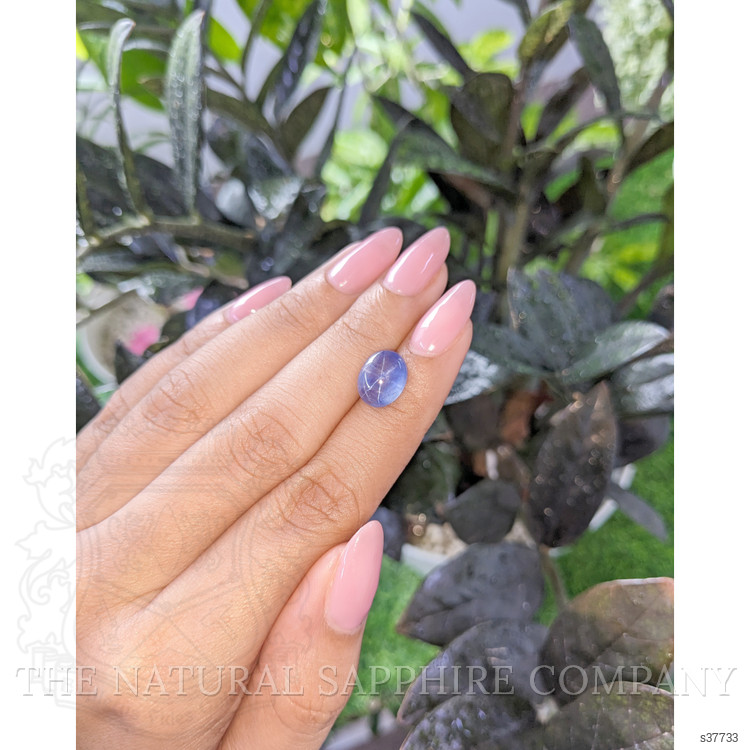4.30 Ct. Blue Star Sapphire from Tanzania