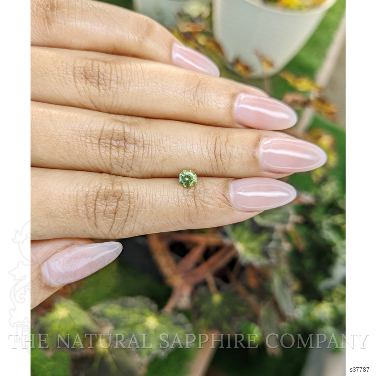 0.50 Ct. Yellowish Green Sapphire from Madagascar