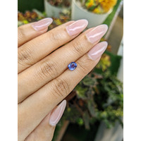 1.31 Ct. Blue Sapphire from Ceylon (Sri Lanka) Life Style