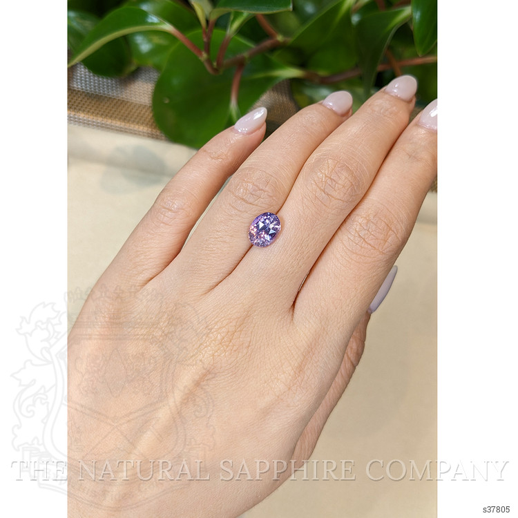 3.10 Ct. Bi Color Sapphire from Ceylon (Sri Lanka)