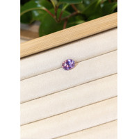 3.10 Ct. Bi Color Sapphire from Ceylon (Sri Lanka) Life Style