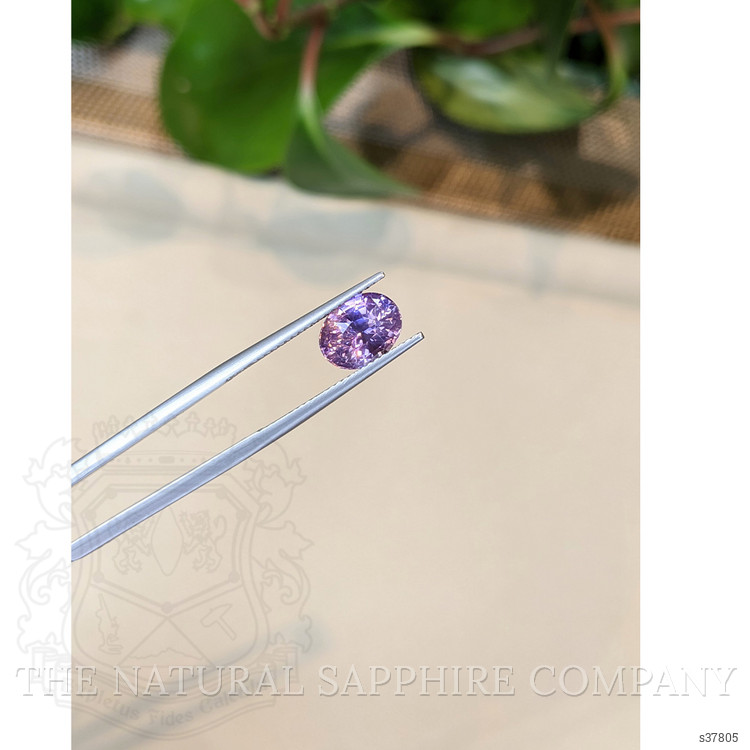 3.10 Ct. Bi Color Sapphire from Ceylon (Sri Lanka)