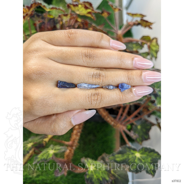 9.52 Ct. Blue Sapphire Crystal from Ceylon (Sri Lanka)
