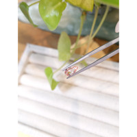 1.08 Ct. Peach Sapphire from Madagascar Life Style