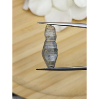 9.71 Ct. Blue Sapphire Crystal from Ceylon (Sri Lanka) Life Style
