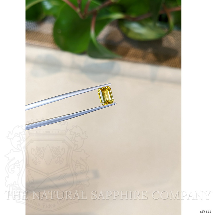1.41 Ct. Yellow Sapphire from Ceylon (Sri Lanka)