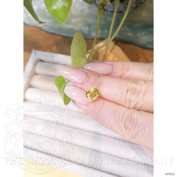 3.55 Ct. Yellow Sapphire from Ceylon (Sri Lanka)