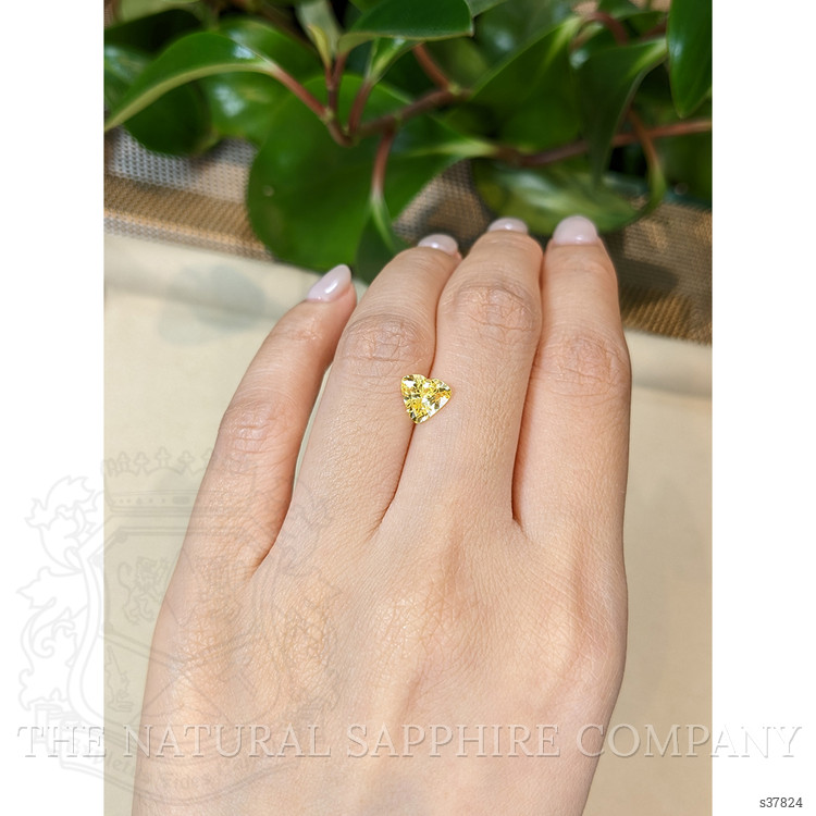 1.36 Ct. Yellow Sapphire from Ceylon (Sri Lanka)