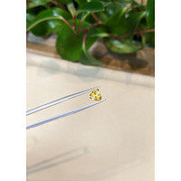 1.36 Ct. Yellow Sapphire from Ceylon (Sri Lanka) Life Style