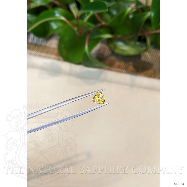 1.36 Ct. Yellow Sapphire from Ceylon (Sri Lanka)