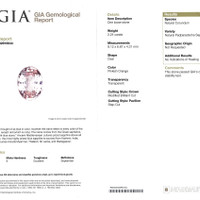 Jewelry Scan Report