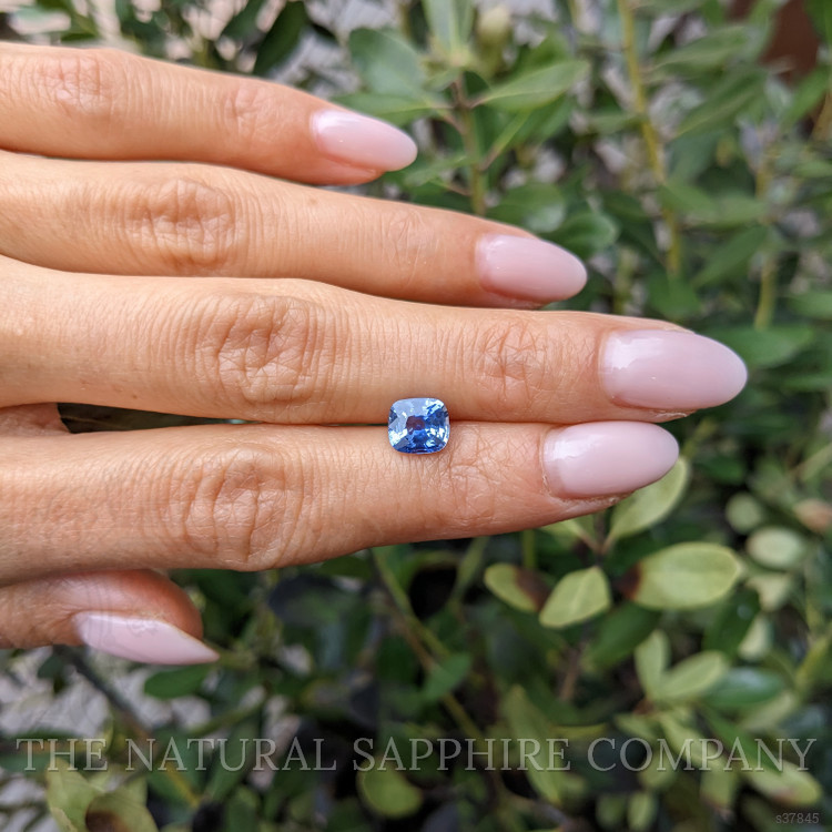 1.65 Ct. Blue Sapphire from Ceylon (Sri Lanka)