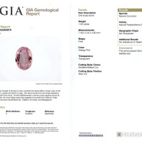 Jewelry Scan Report