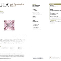 Jewelry Scan Report